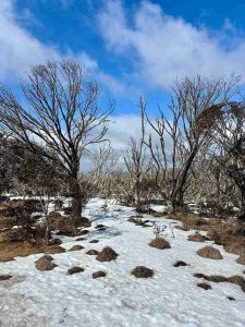Club Wyndham Owner Leonie P Wyn Entry