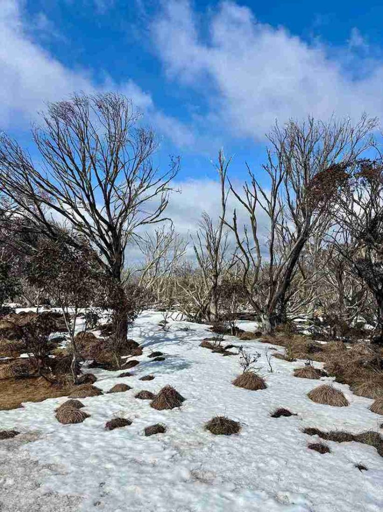 Club Wyndham Owner Leonie P Wyn Entry