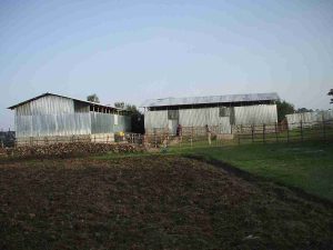 Club Wyndham Owner Zewditu T Wyn Entry