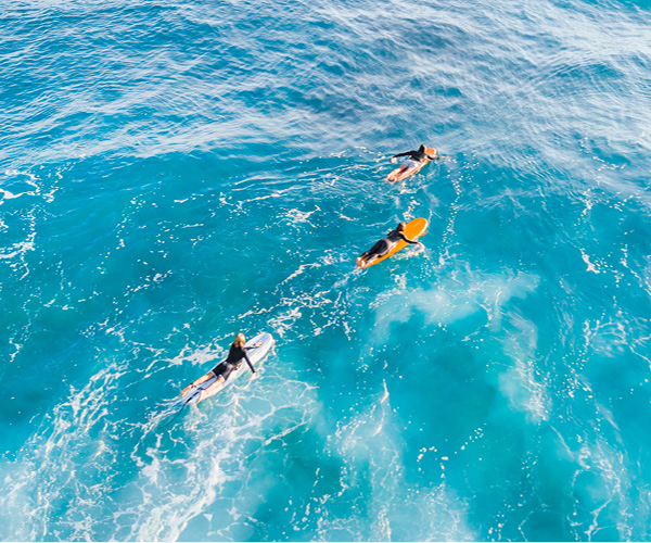 Learn to Surf