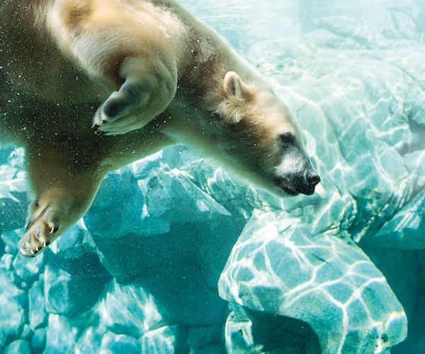 Sea World