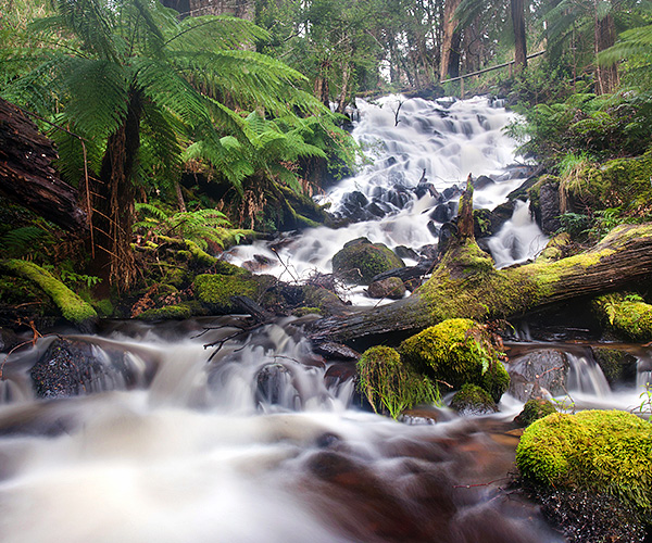 Cora Lynn Cascades
