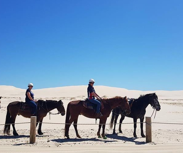 Horse Riding