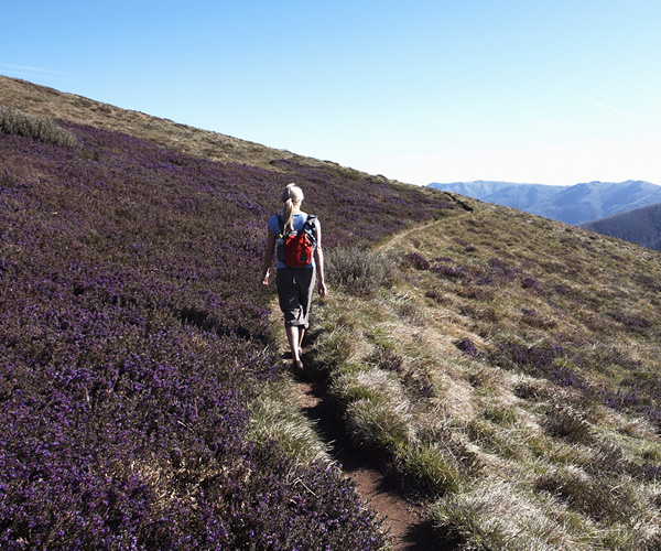 Trail Running