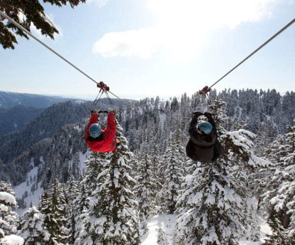 Ziptrek Ecotours