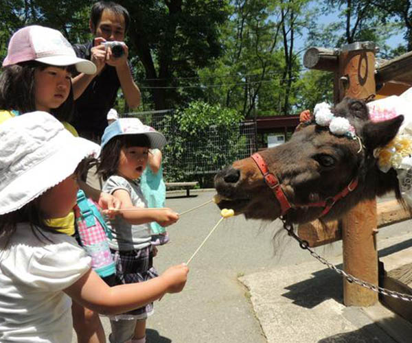 Chausuyama Zoo