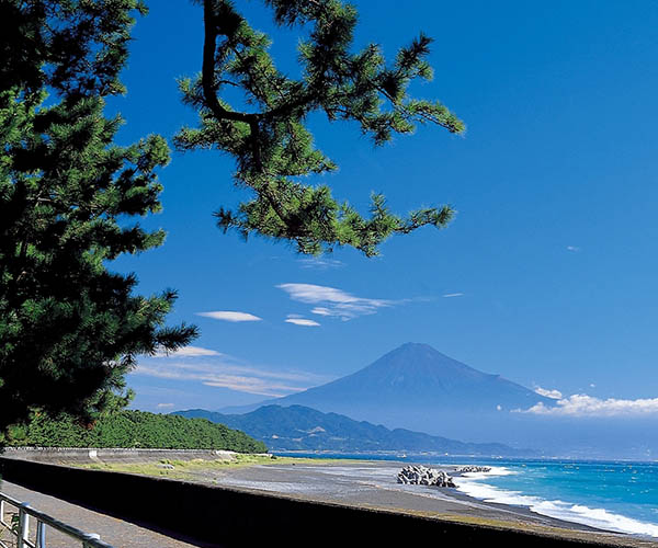 Miho no Matsubara