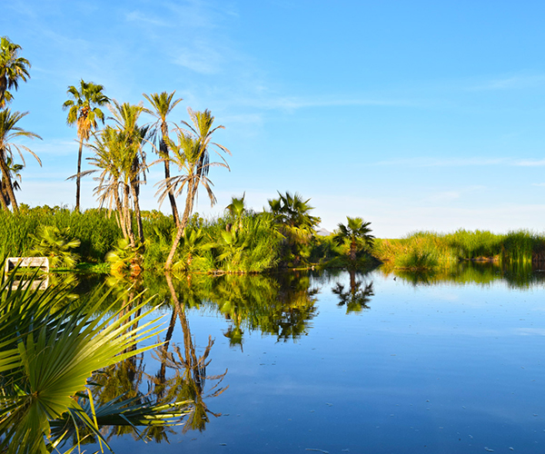 Estero San José