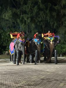 Club Wyndham Owner Tracey T Wyn Entry