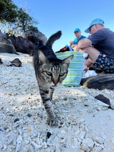 Club Wyndham Owner Kerrie C Wyn Entry