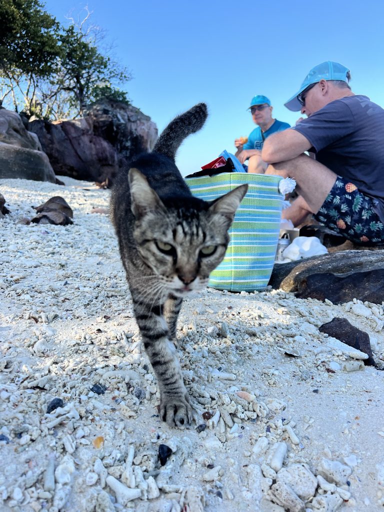 Club Wyndham Owner Kerrie C Wyn Entry