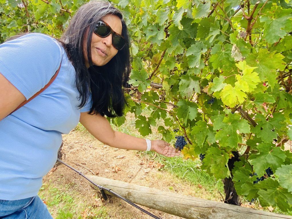 Club Wyndham Owner Susan M Wyn Entry