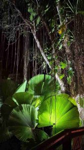 Club Wyndham Owner Karen M Wyn Entry