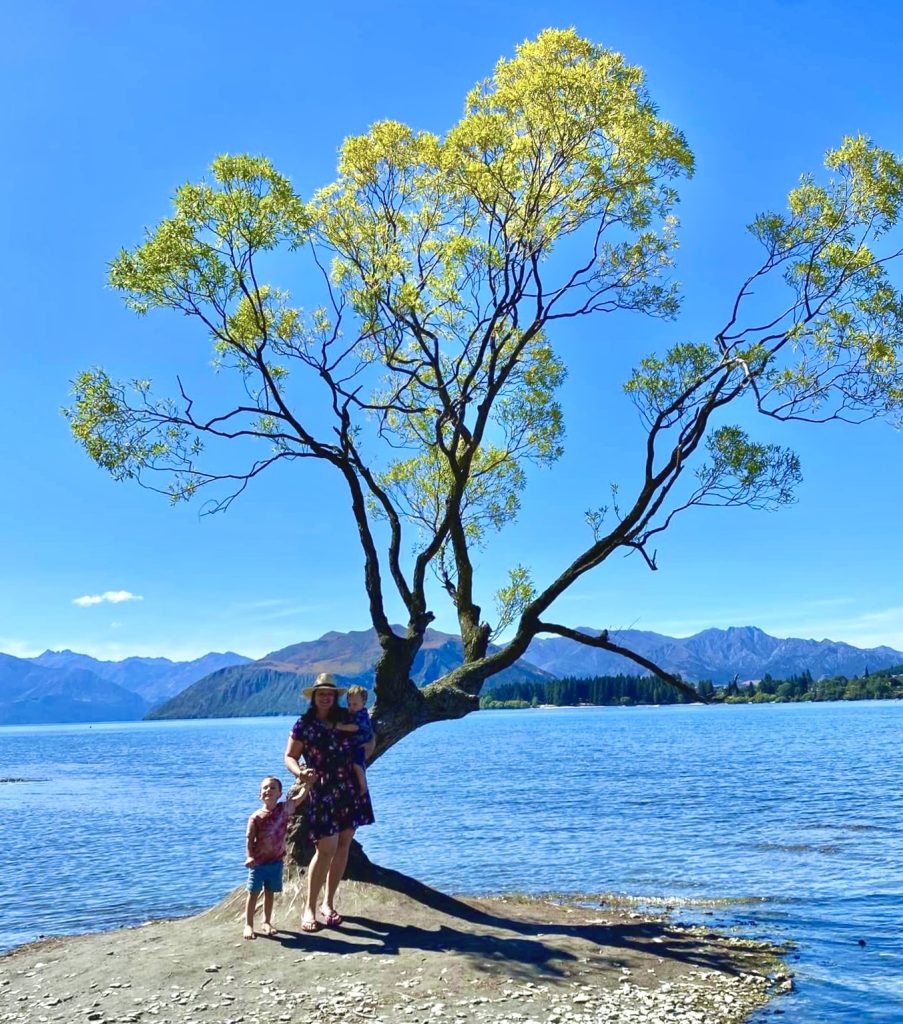 Club Wyndham Owner Reka F Wyn Entry