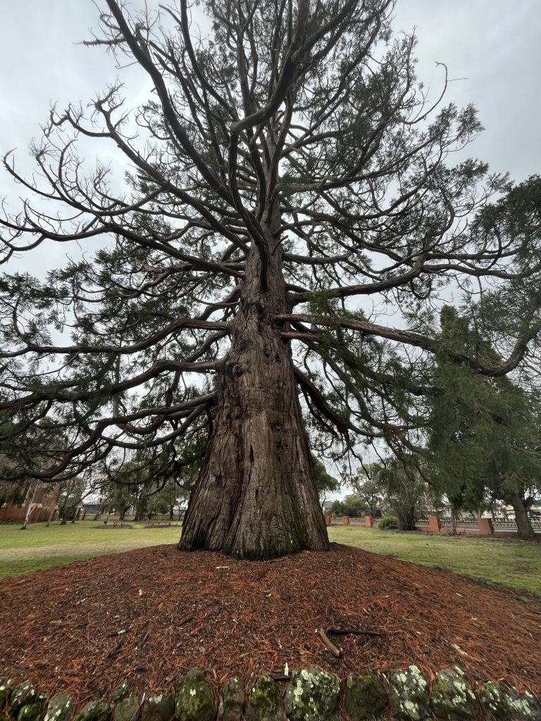 Club Wyndham Owner Leanne B Wyn Entry