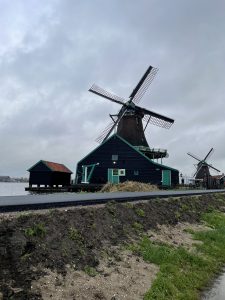 Club Wyndham Owner Robyn J Wyn Entry