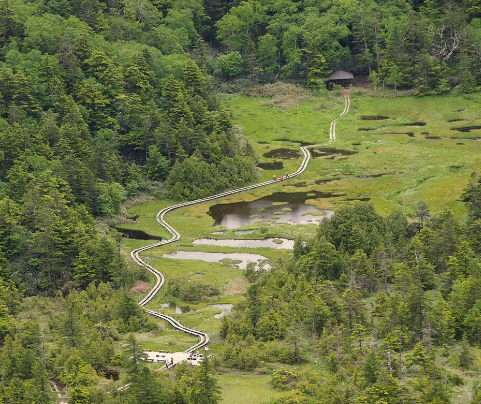 Lakes and Ponds Trail Shigakogen