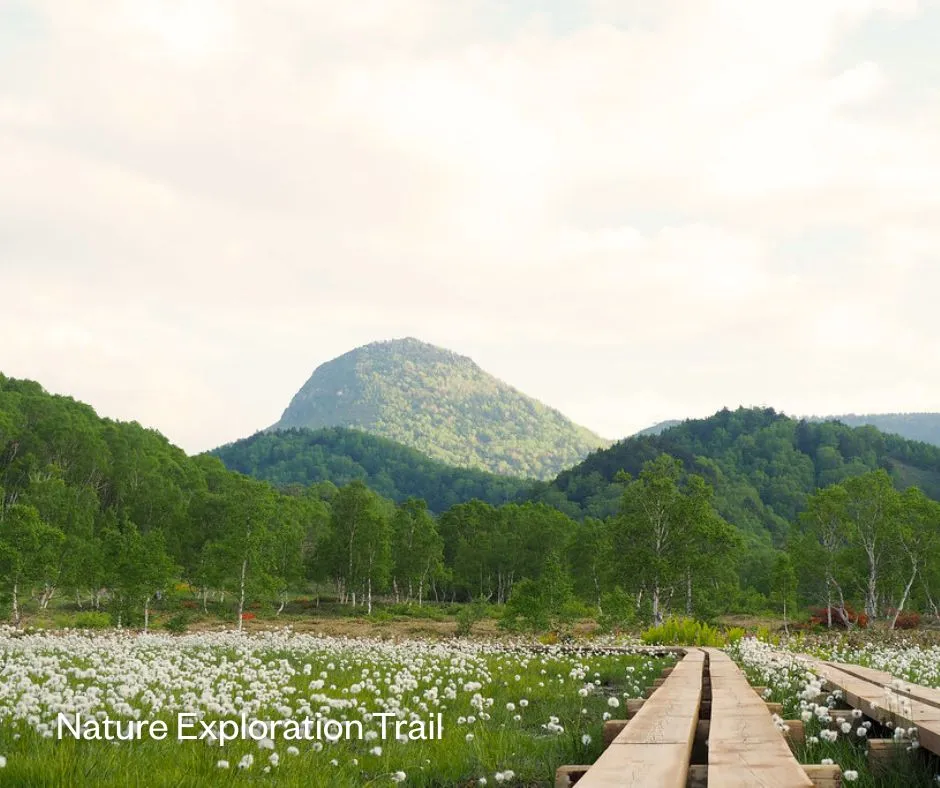 Nature Exploration Trail